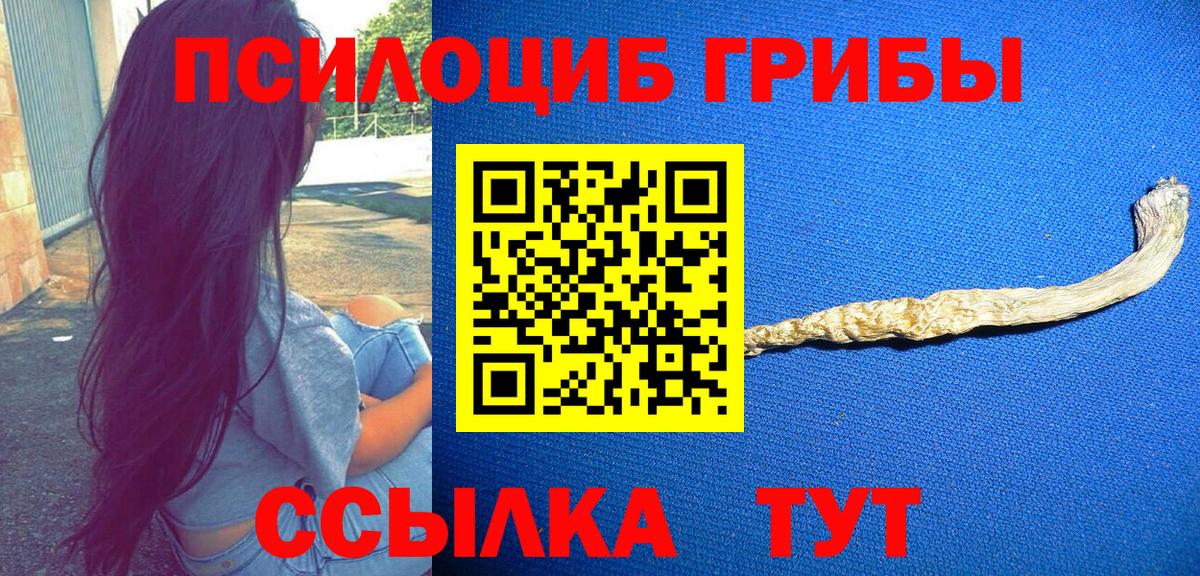 Псилоцибиновые грибы Magic Shrooms  Вход с VPN  Александров  Псилоцибиновые грибы Cubensis 